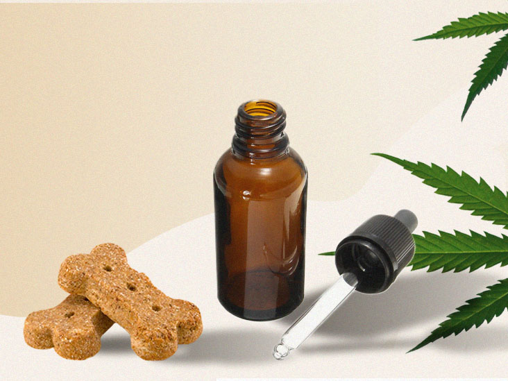 SIMPLE WAYS TO FEED YOUR DOG CBD OIL