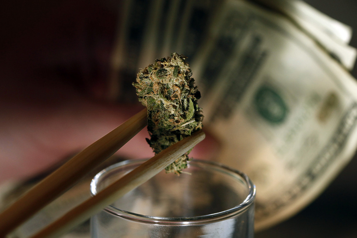 HOW TO CHOOSE WEED FROM AN ONLINE WEED STORE WITH THESE EASY STEPS: